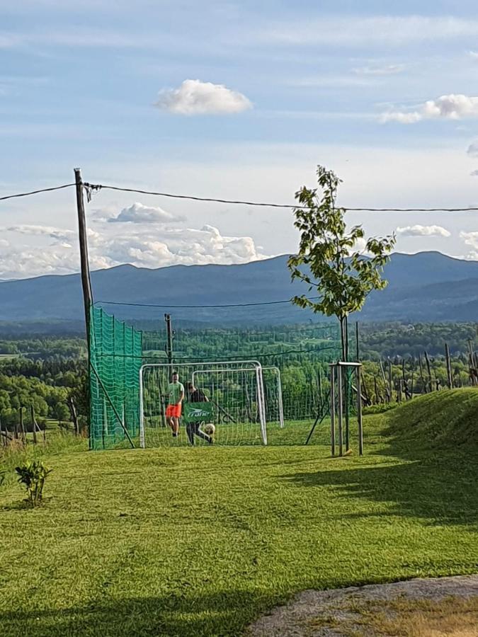 Vineyard Cottage Lan Na Hribu Semic 外观 照片